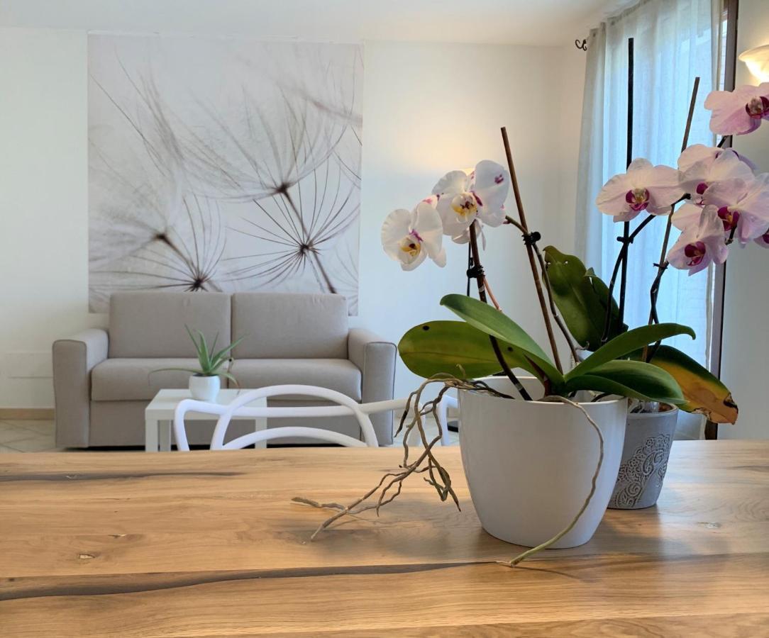 Casa Ulivi Bianco Διαμέρισμα Rivoltella del Garda Εξωτερικό φωτογραφία